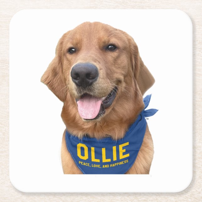 Ollie the Lucky Dog Foto Untersetzer (Vorderseite)