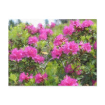 Ölmalerei auf Rhododendon in der alpinen Rose