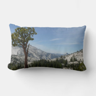Olmsted Point I im Yosemite-Nationalpark Lendenkissen