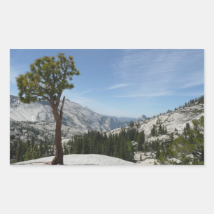 Olmsted Point I im Yosemite-Nationalpark Rechteckiger Aufkleber