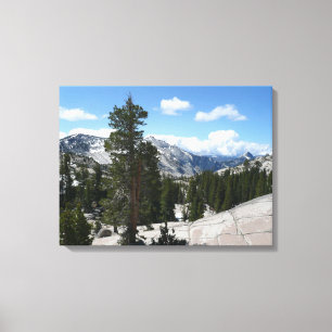 Olmsted Point III im Yosemite-Nationalpark Leinwanddruck