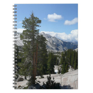 Olmsted Point III. Yosemite-Nationalpark Notizblock
