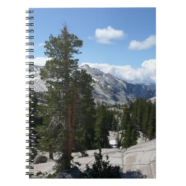 Olmsted Point III. Yosemite-Nationalpark Notizblock (Vorderseite)