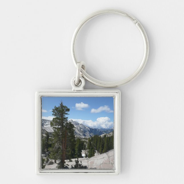 Olmsted Point III. Yosemite-Nationalpark Schlüsselanhänger (Vorne)