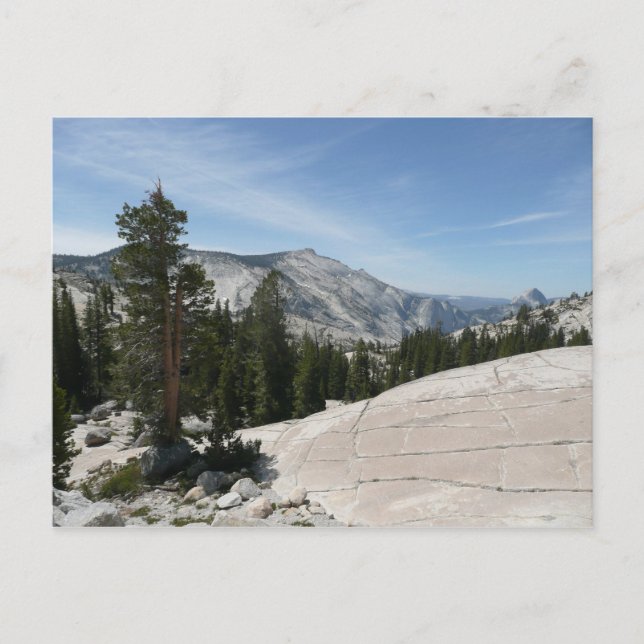 Olmsted Punkt II aus Yosemite Nationalpark Postkarte (Vorderseite)
