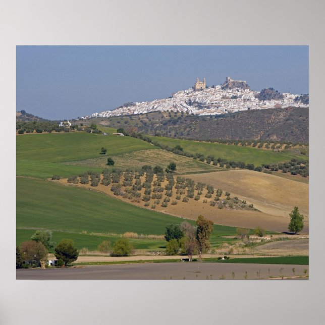 Olvera, Andalusien, Spanien Poster (Vorne)