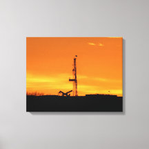 Ölwüstenriege bei Sonnenuntergang