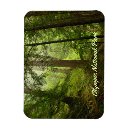 Olympic National Park Rainforest Photo Magnet