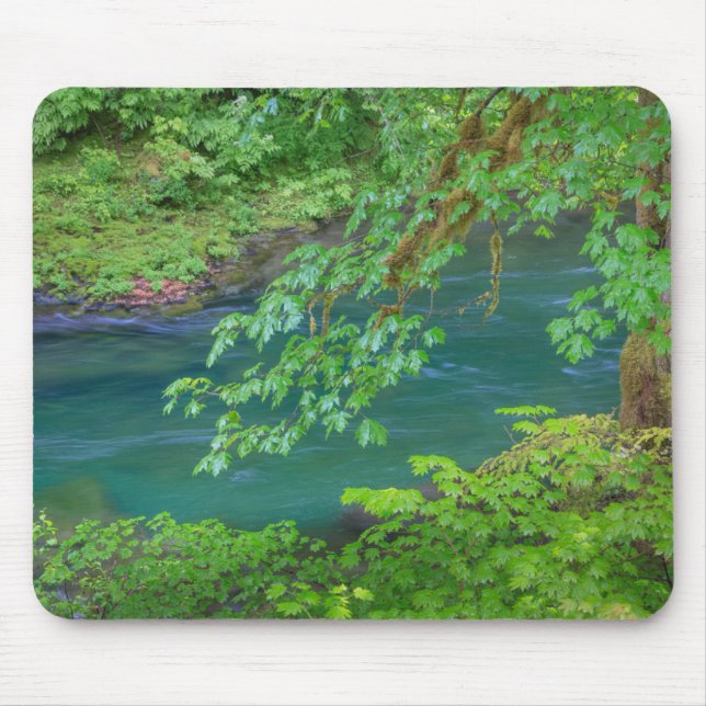 Olympic National Park Washington Staat Mousepad (Vorne)