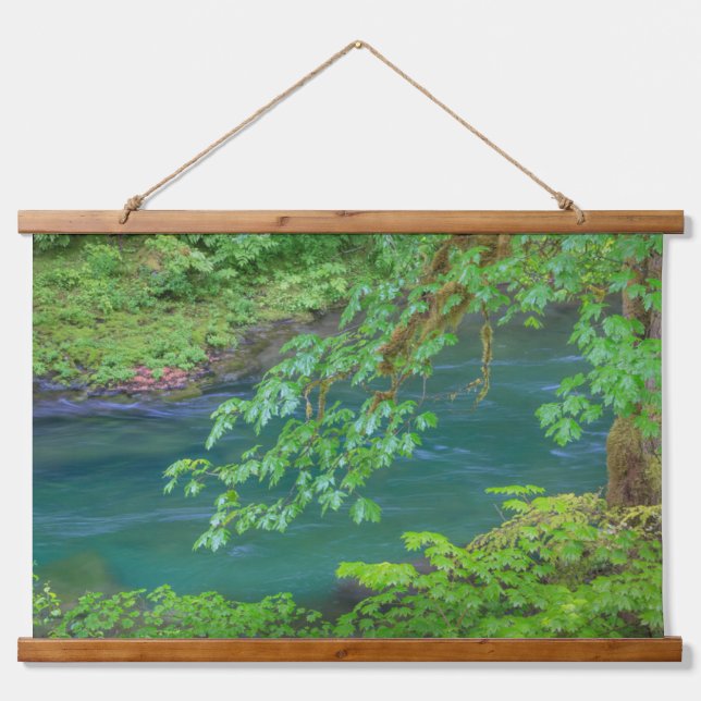 Olympic National Park Washington Staat Wandteppich Mit Holzrahmen (Vorne)