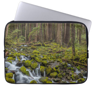 Olympic-Nationalpark, Bundesstaat Washington Laptopschutzhülle