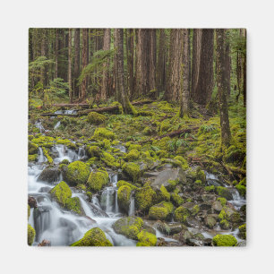 Olympic-Nationalpark, Bundesstaat Washington Magnet