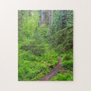 Olympic-Nationalpark, Waldweg