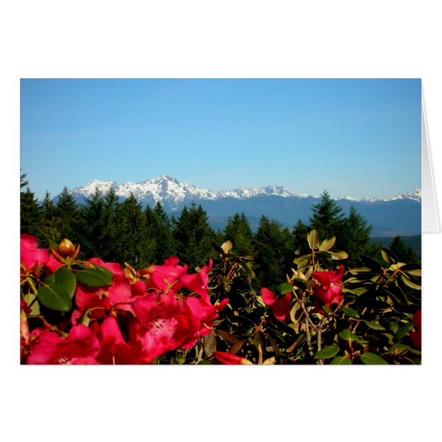 Olympische Berge und Rododenronen (Vorderseite (Horizontal))