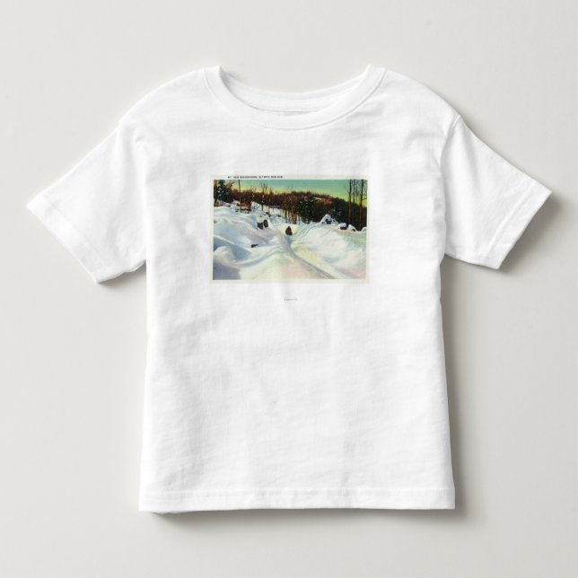 Olympische Bobsled-Laufansicht über Mt. Van Kleinkind T-shirt (Vorderseite)