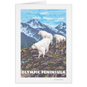 Olympische Halbinsel, WashingtonBergziegen
