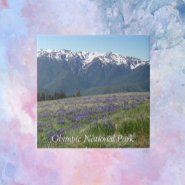 Olympischer Nationalpark Berge und Wiesen Fliese