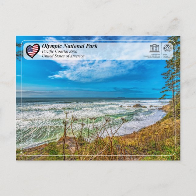 Olympischer Nationalpark - Pazifisches Küstengebie Postkarte (Vorderseite)