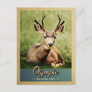 Olympischer Nationalpark Vintag Hirsch Postkarte