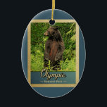 Olympischer Nationalpark Vintage Reisebär Keramik Ornament<br><div class="desc">Vintage Reise-Ornament Olympiapark Bild mit einem schwarzen Bär stehend auf seinen Hinterbeinen,  Blick in den grünen Wald.</div>