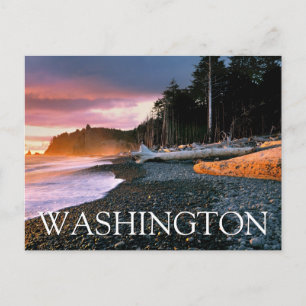Olympischer Nationalpark Washington Staat Vielen Postkarte