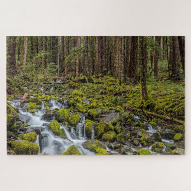 Olympischer Nationalpark, Washingtoner Staat (Horizontal)