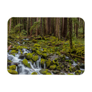 Olympischer Nationalpark, Washingtoner Staat Magnet
