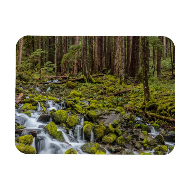 Olympischer Nationalpark, Washingtoner Staat Magnet (Horizontal)