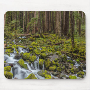 Olympischer Nationalpark, Washingtoner Staat Mousepad