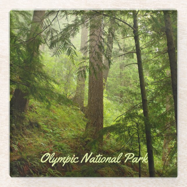 Olympisches Foto im Nationalpark Rainforest Glasuntersetzer (Vorderseite)