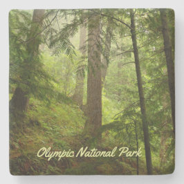 Olympisches Foto im Nationalpark Rainforest Steinuntersetzer
