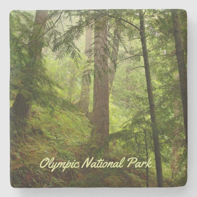 Olympisches Foto im Nationalpark Rainforest Steinuntersetzer (Vorderseite)