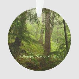 Olympisches Rainforest Foto Ornament