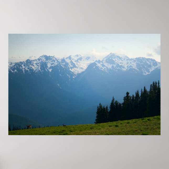 Olympus-Gipfel am Hurricane Ridge Print Poster (Vorne)
