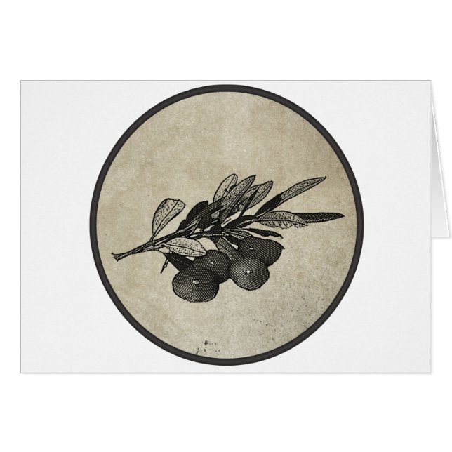 Ölzweig (Vorderseite (Horizontal))