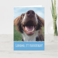 Oma Birthday, Happy Hund mit großem Lächeln