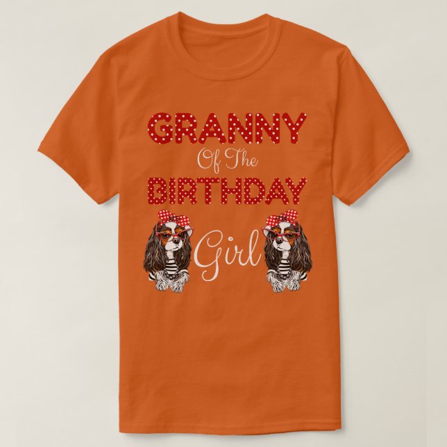 Oma des Geburtstagskranzes T-Shirt (Design vorne)