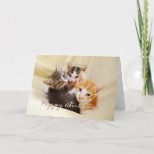 Oma Happy Birthday Trio of Kittens Karte