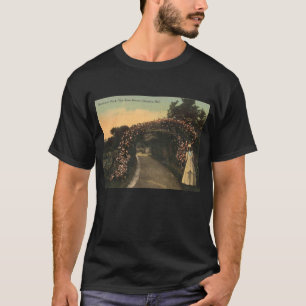 Omaha Nebraska 1913 Hanscom Park Vintag T-Shirt