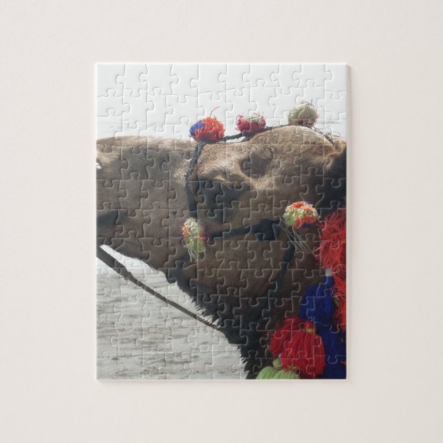Oman Muscat Camel Foto Art Print (Vertikal)
