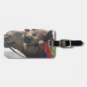 Oman Muscat Camel Foto Art Print Gepäckanhänger