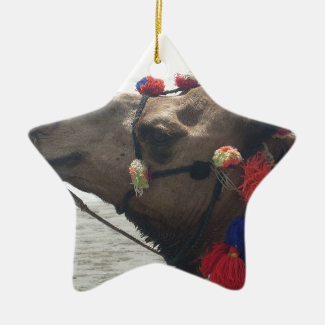 Oman Muscat Camel Foto Art Print Keramikornament (Vorne)