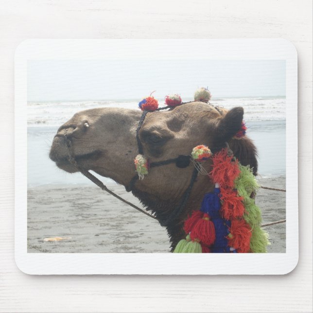 Oman Muscat Camel Foto Art Print Mousepad (Vorne)
