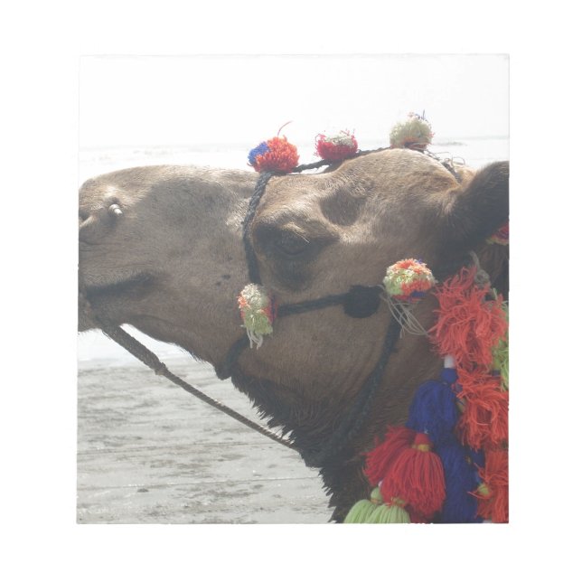 Oman Muscat Camel Foto Art Print Notizblock (Vorderseite)