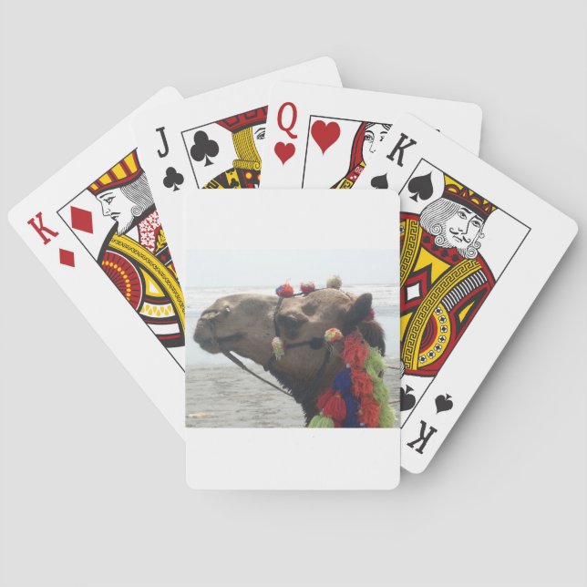 Oman Muscat Camel Foto Art Print Spielkarten (Rückseite)