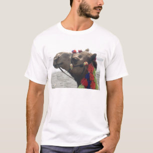Oman Muscat Camel Foto Art Print T-Shirt