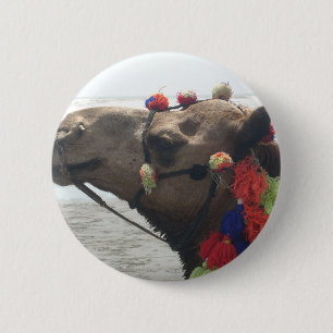 Oman Muscat Kamel Foto Kunst Druck Button