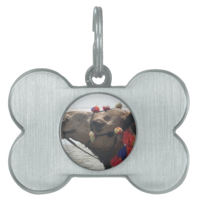 Oman! Muscat Tiermarke (Vorderseite)