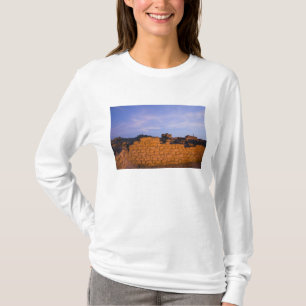 Oman, Region Dhofar, Salalah. Al Baleed T-Shirt