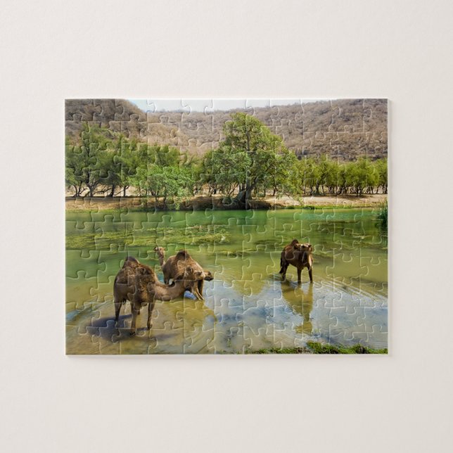 Oman, Wadi Darbat (Horizontal)